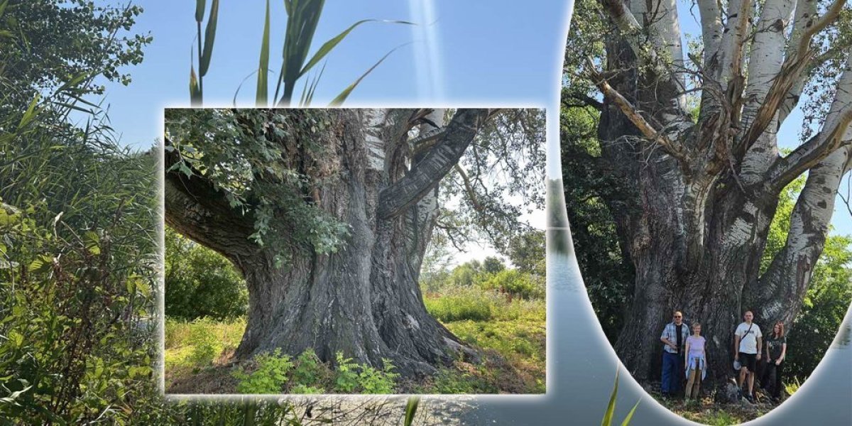 Čudo prirode: I po godinama, visini i debljini (Video)