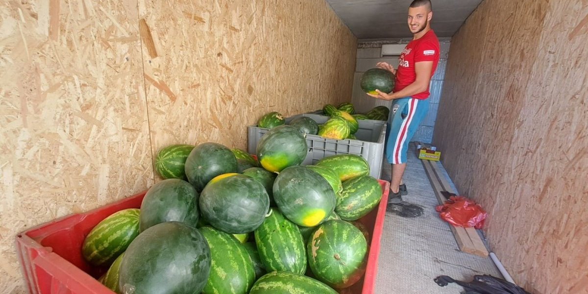Stigle domaće lubenice: Da li vam je cena potaman?