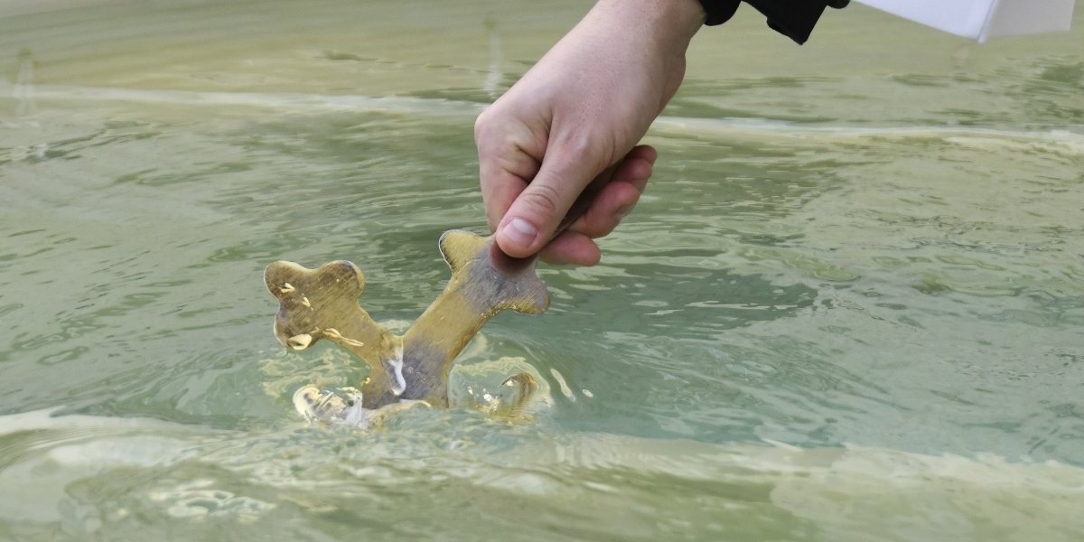 Skandal godine: Mitropolit optužen za špijunažu