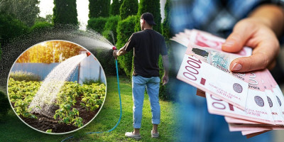 Ulaganje u sadnju gloga, gde sadnica košta oko 200 dinara, može doneti godišnji prihod i do 1,5 miliona dinara po hektaru kad plantaža dostigne punu rodnost.