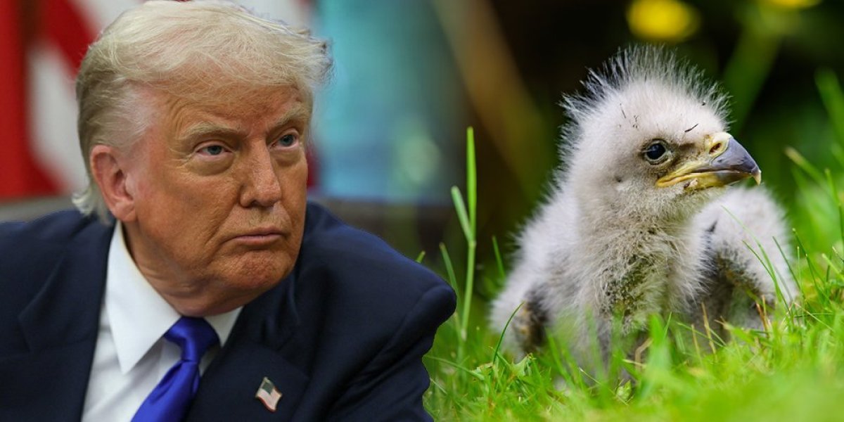 ŠOK! Tramp u ruskom zoološkom vrtu