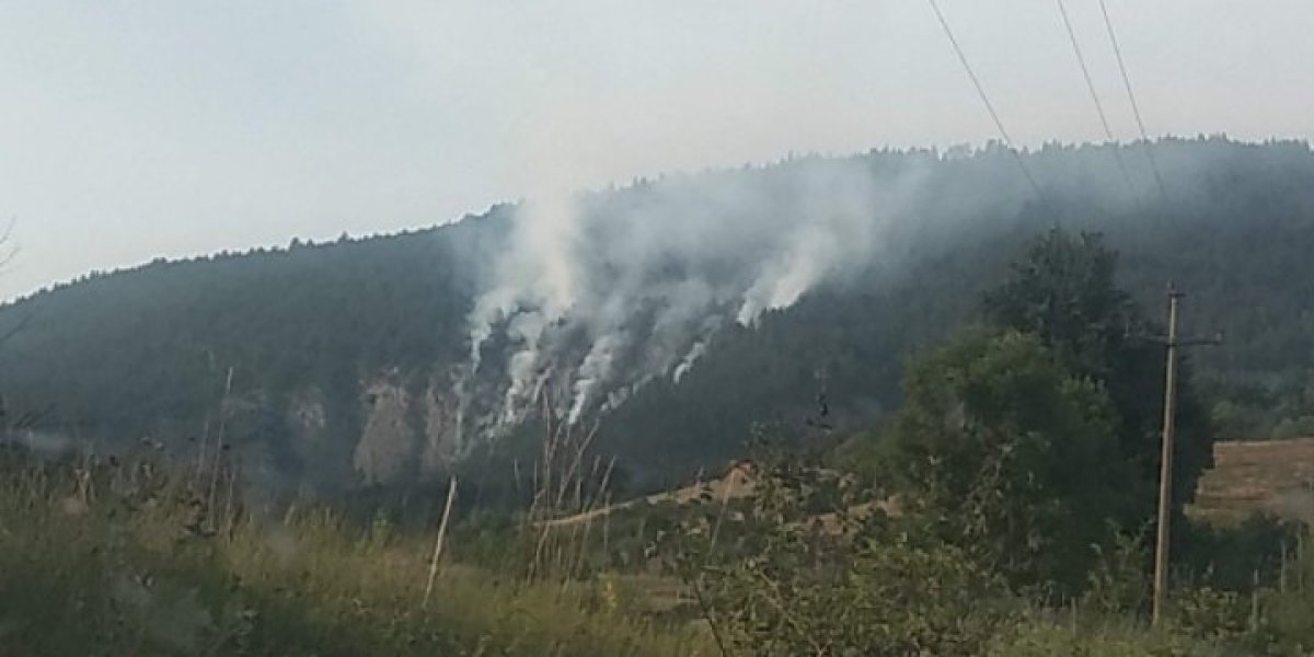 Požar kod sela Kremna: Gori borova šuma (FOTO)