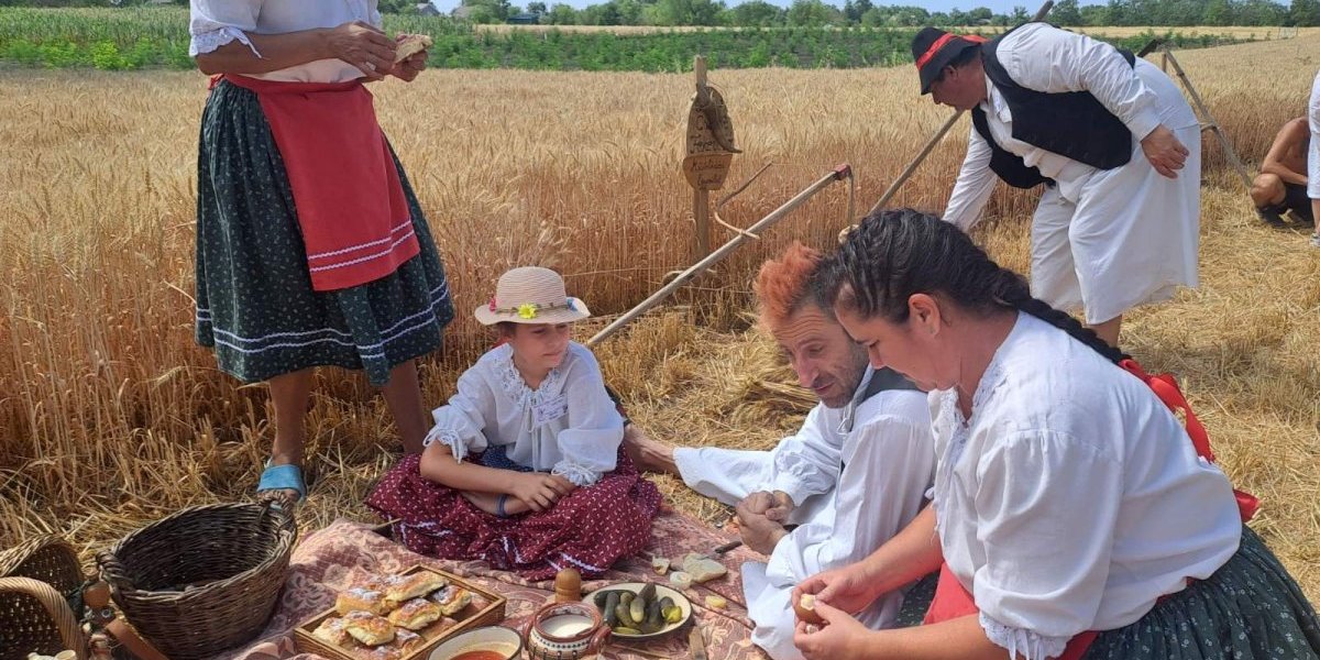 Filmske scene u Sajanu kod Kikinde: Kosi tata, kosi sin (VIDEO)