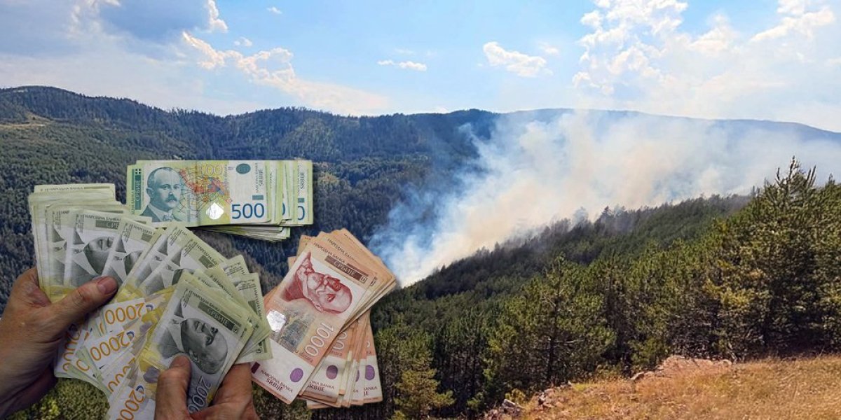 Znate li kolike su kazne za paljenje vatre na otvorenom? Zapadna Srbija u plamenu