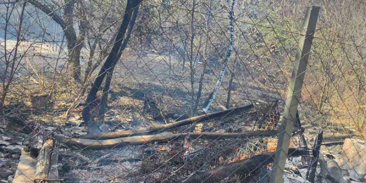 Požar kod Prokuplja