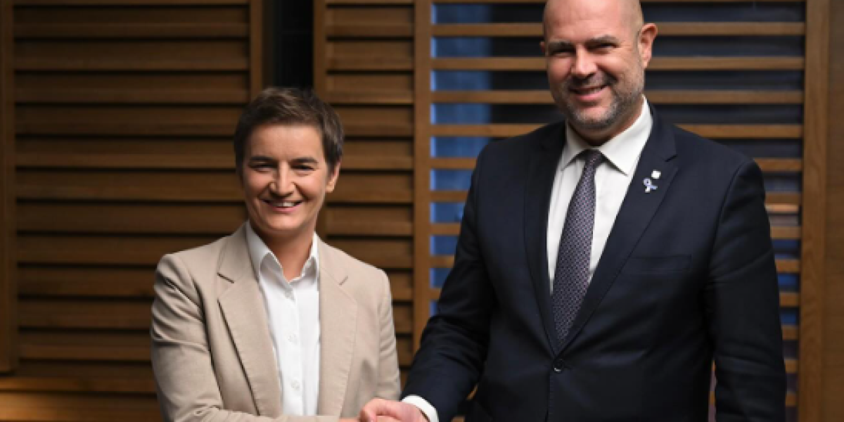 Ana Brnabić stigla u Izrael: Na aerodromu je dočekao Amir Ohan