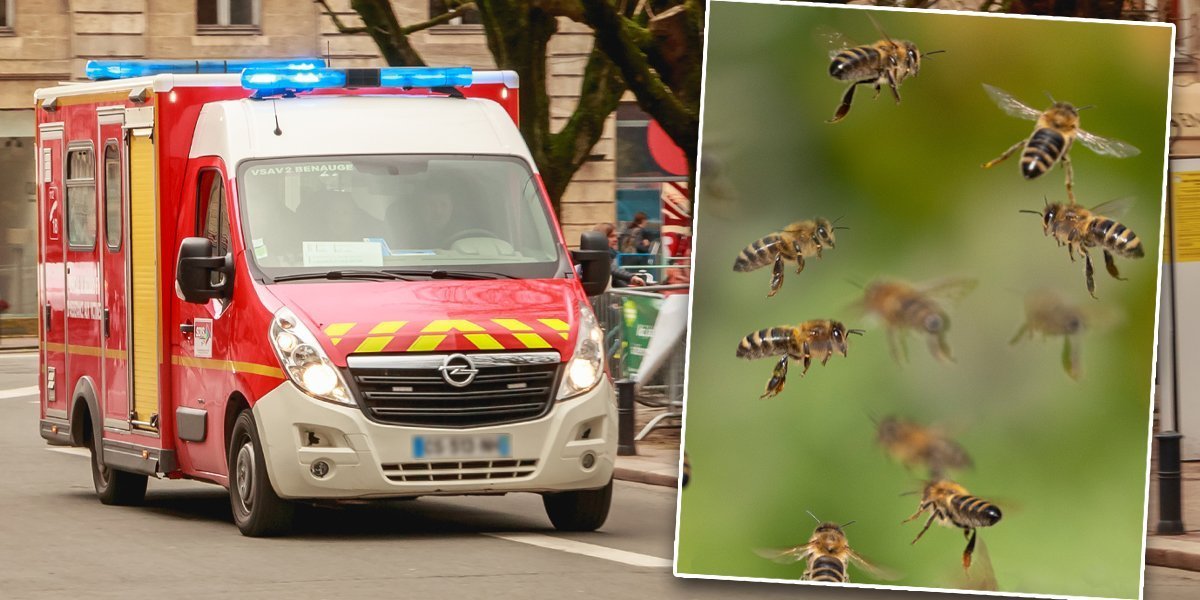 Mirno jutro pretvorilo se u horor: Roj pčela napao prolaznike, totalni haos u centru grada