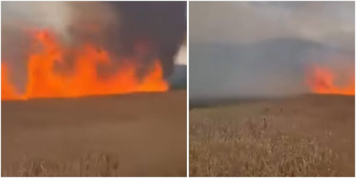 Gori srpska planina: Vatrena stihija zahvatila veliki deo zemljišta (VIDEO)