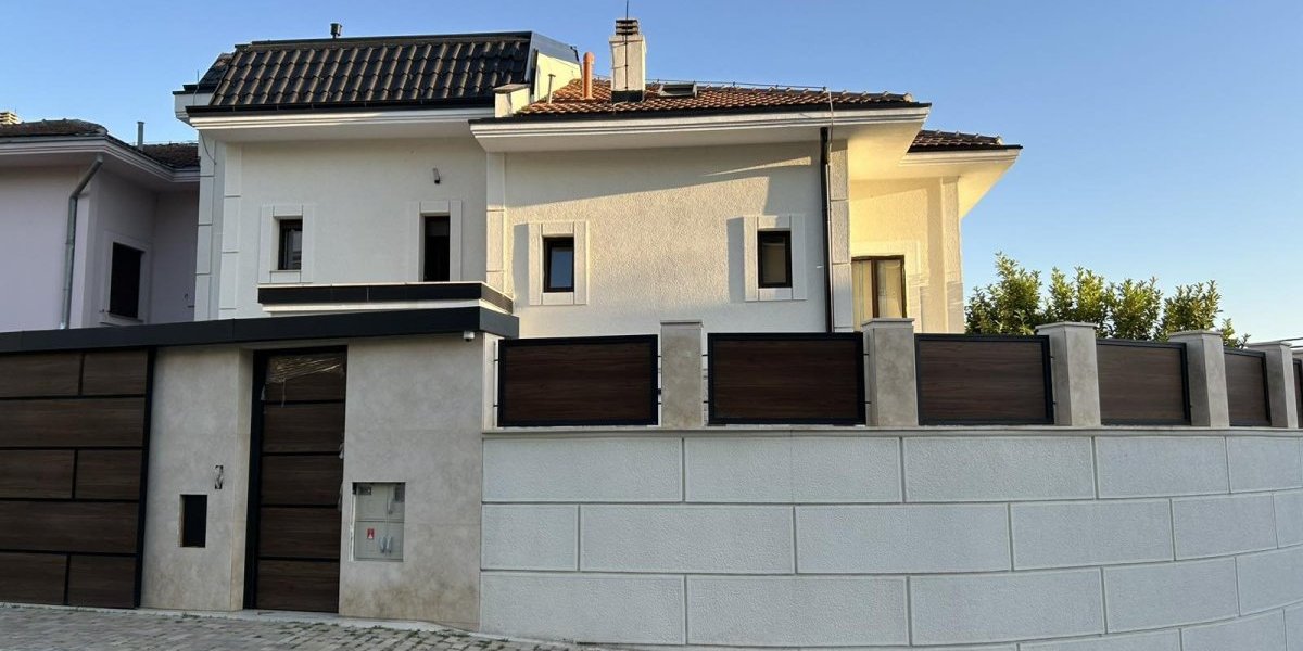 Vila Alekandra Milića Milija