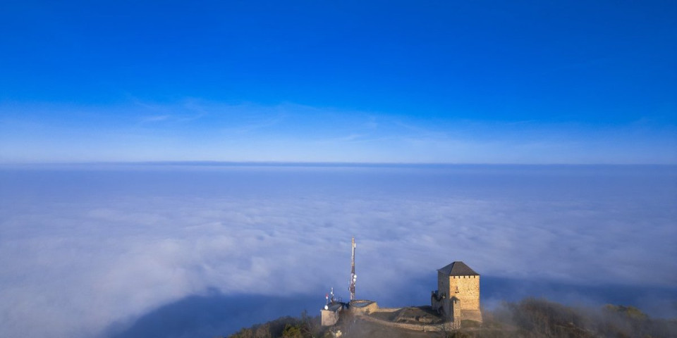 Čudo na Vršačkom bregu: Krišom pokušale da pobegnu, a onda uradile ovo (VIDEO)
