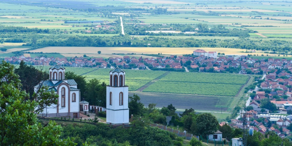 Vršac gradi prirodnu zaštitu: Na Malom Ritu posađeno oko 9.000 sadnica