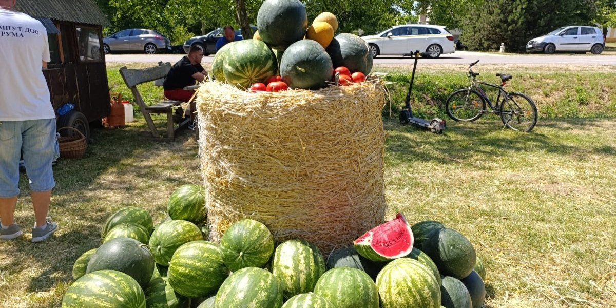Ovde je bostan danas džabe: U Šašincima 35. put slave kraljicu leta