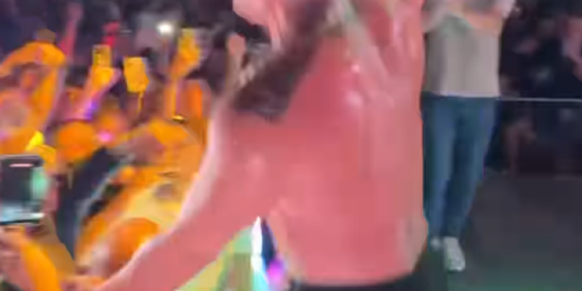 Nastup Dragomira Despića Desingerice