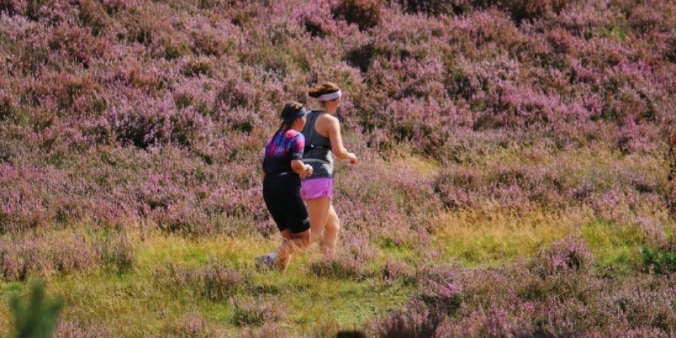 Užas: Poznatu atletičarku napala krava, zadobila teške povrede (FOTO)