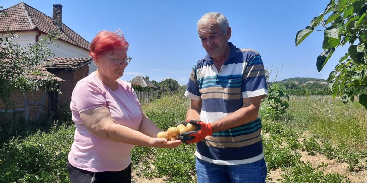Da li znate šta je ovo? Otkad ga je Dositej Obradović doneo u Srbiju, rastao je u zemlji, a pogledajte sad