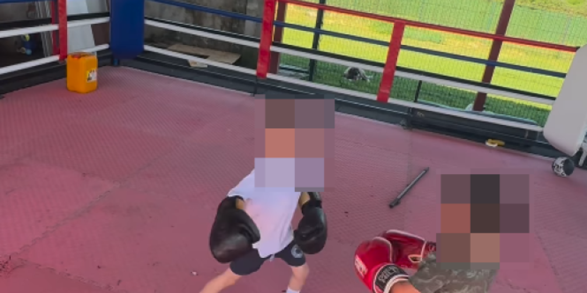 Objava Veljka Ražnatovića