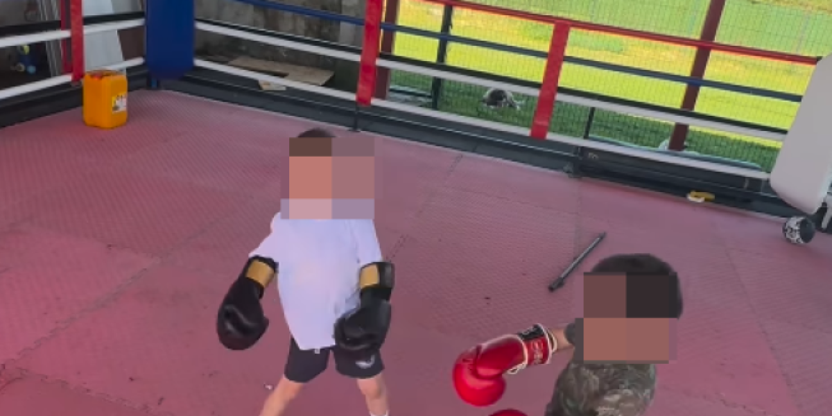 Objava Veljka Ražnatovića