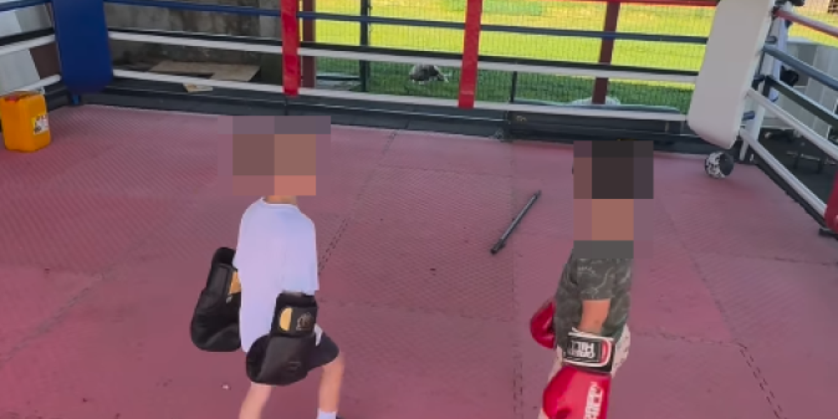 Objava Veljka Ražnatovića