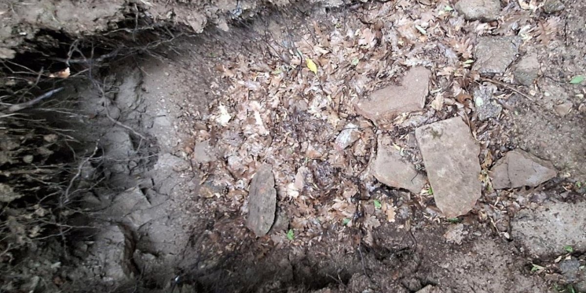 U smeću pronašli predmet iz 6. veka: Iznenađenje kod Prokuplja