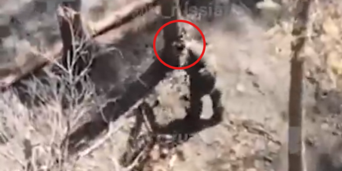 (VIDEO) Kakav potez: Rus golim rukama uhvatio dron - dramatičan snimak se munjevito širi društvenim mrežama