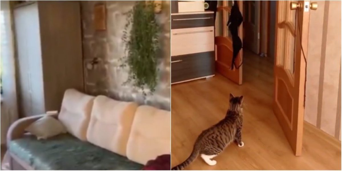 "O, Božeee!" Dramatični snimci zemljotresa na Kamčatki! Sve se trese i puca, ljudi zapomažu, čuju se sirene! (VIDEO)