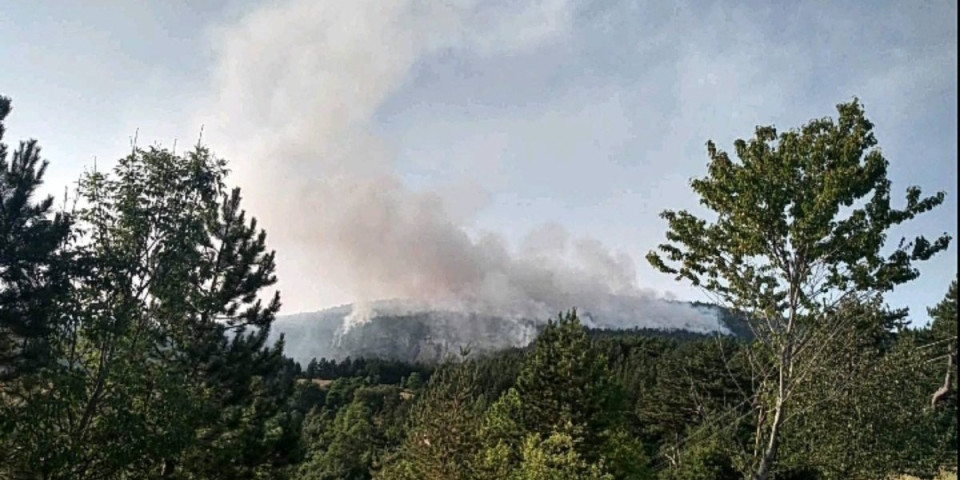 Gori ogromna borova šuma: Veliki požar na Zlatiboru (FOTO)