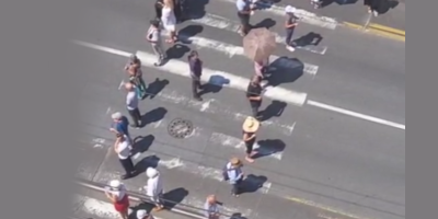 Šačica blokadera terorista blokirala je Požešku ulicu na Banovom brdu, saznaje Informer.