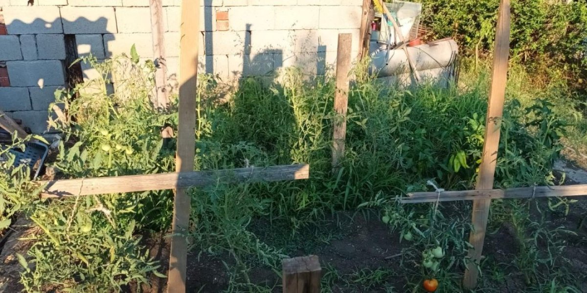 Bože me sačuvaj, šta je ovo:  Zaječarac prešao igricu, i žena mu se čudila šta je uradio