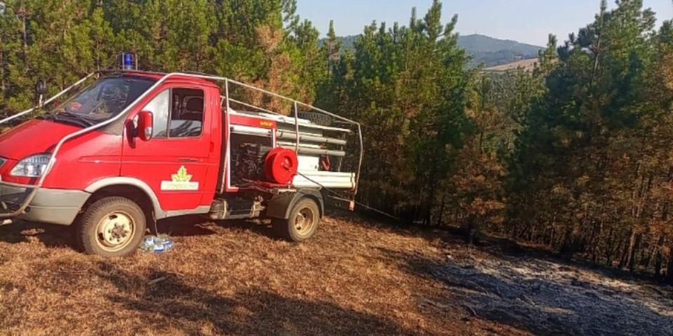 Uveli dežurstva zbog rizika od požara: Zlatibor od vatre čuvaju i šumari