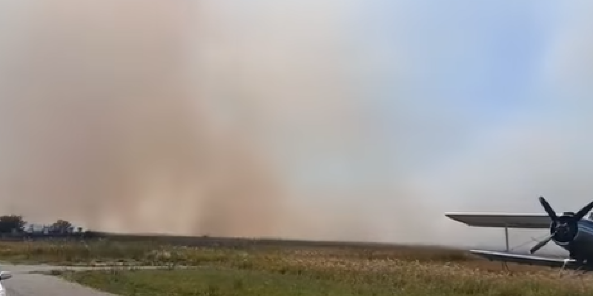 Požar u Vršcu: Plamen zahvatio veliku površinu (VIDEO)