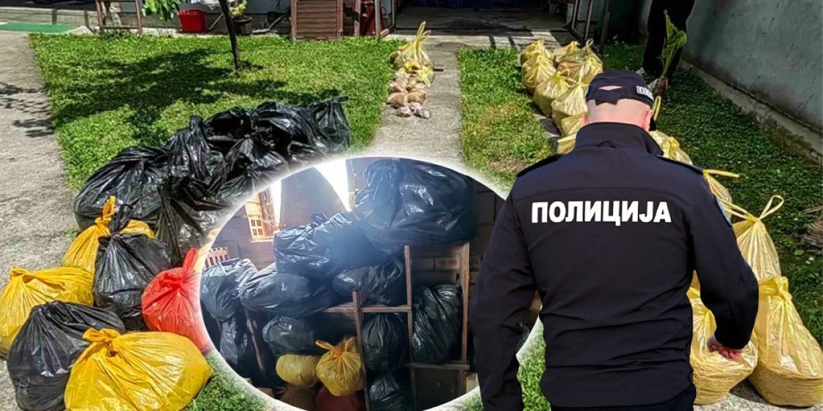 Više od 200 kilograma: Neverovatna zaplena u Bačkoj Palanci (FOTO)