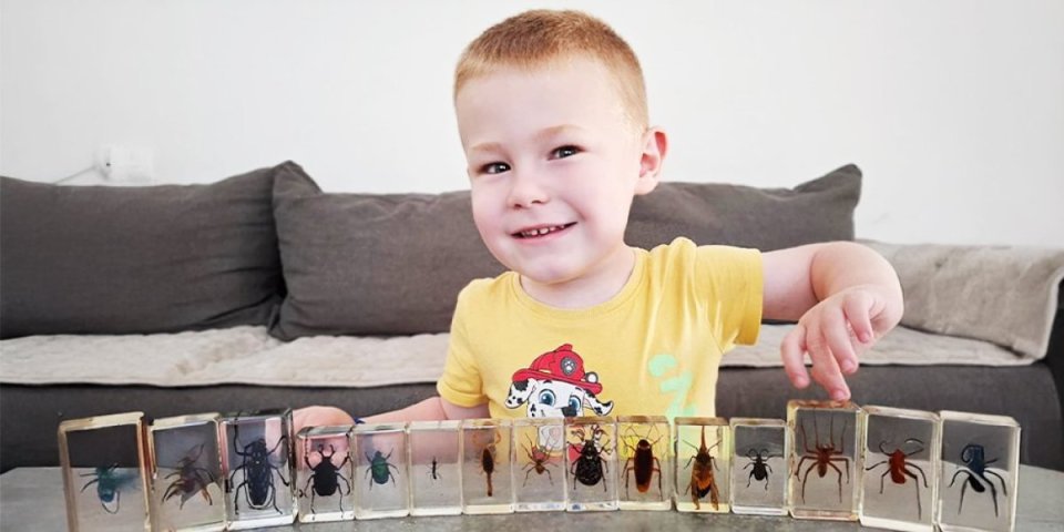 Koliko njih sme ovo: Nosi zmiju oko vrata, s bubama se igra,  a gušter mu je kućni ljubimac (VIDEO)