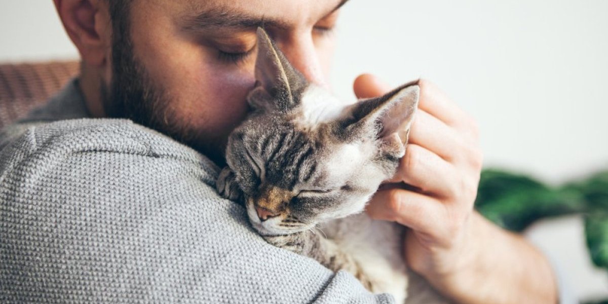 Šta znači ako mačka voli da sedi na vama? Dobro obratite pažnju, nije slučajno došla