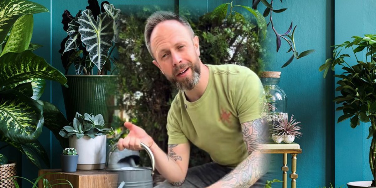 Zbog 1 stvari vam venu biljke u saksijama: Baštovan otkrio gde mnogi greše (VIDEO)