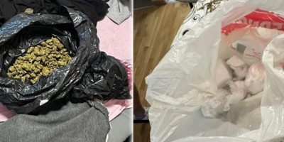 Policija u Novom Sadu, uhapsila je N. Č. (29) iz ovog grada, zbog postojanja osnova sumnje da je učinio krivično delo neovlašćena proizvodnja i stavljanje u promet opojnih droga.