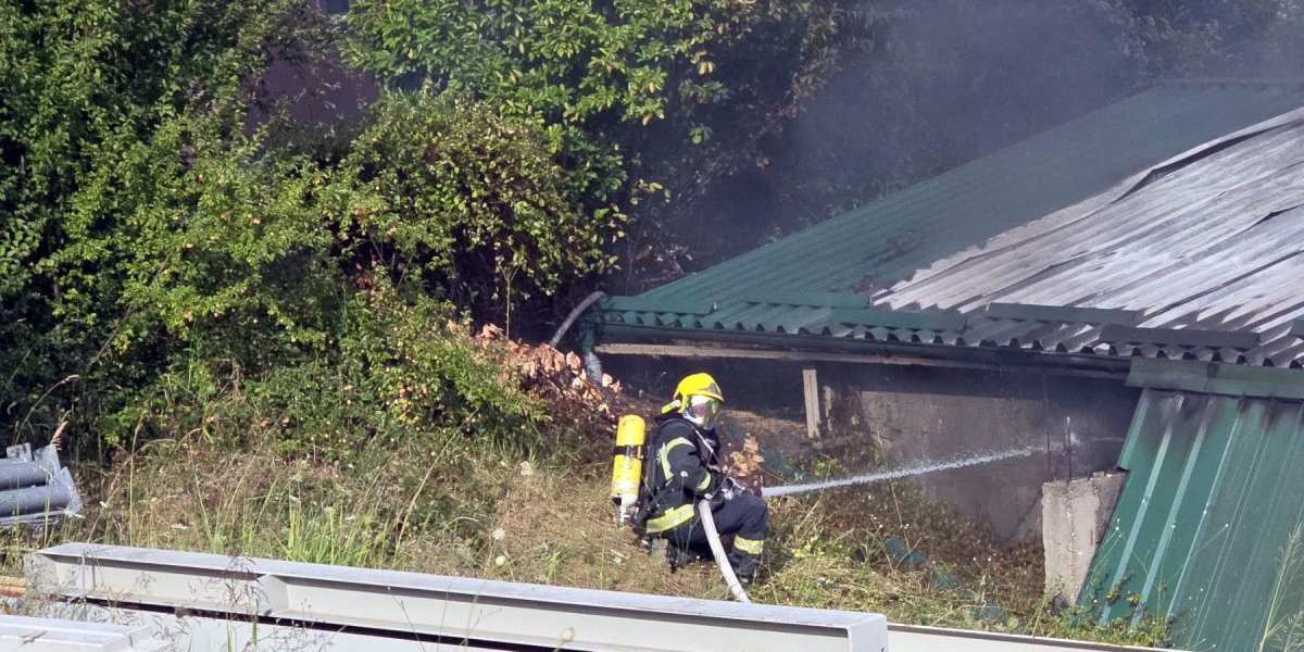 Gašenje požara na Zvezdari