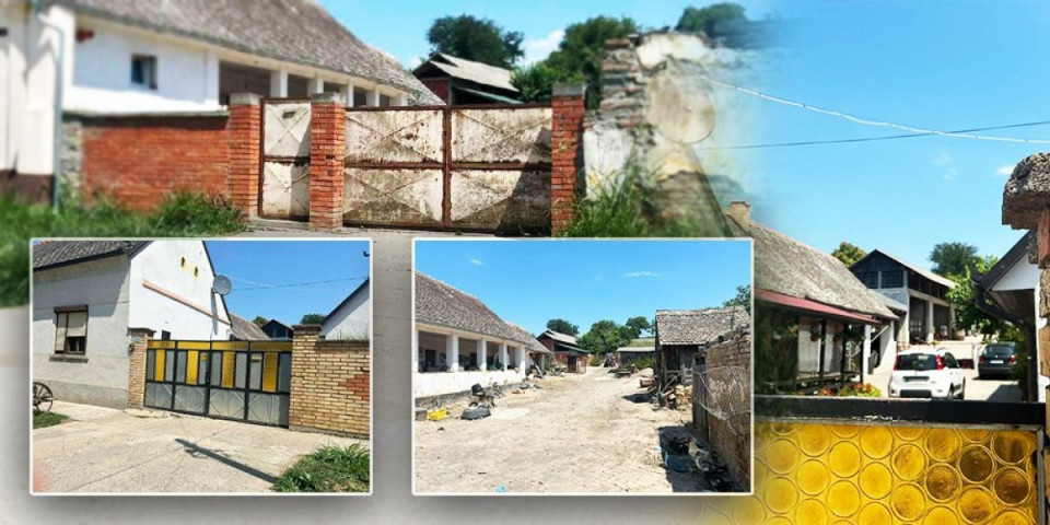 Sutra sahrana Stefke (78) koju su šarplaninci izujedali do smrti: Jecaji paraju nebo nad Fruškom Gorom