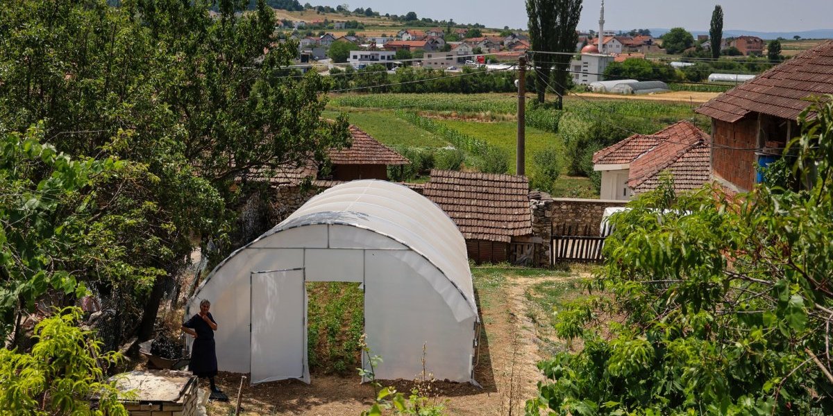 Gujon: Završili smo podelu 154 stočna grla i 75 plastenika vrednim porodicama na Kosovu i Metohiji