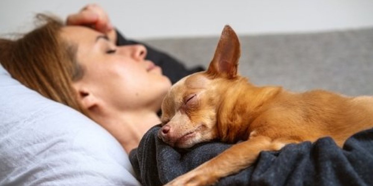 Zašto žene spavaju mirnije pored pasa nego pored muškaraca: Evo šta kažu istraživanja (FOTO)