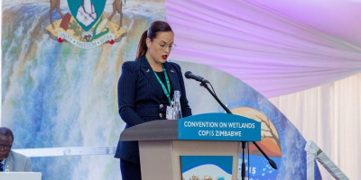 Delegacija Republike Srbije koju predvodi ministarka zaštite životne sredine Sara Pavkov na COP15 Ramsarskoj konvenciji na Viktorijinim vodopadima u Zimbabveu, preuzela je danas u ime Grada Novog Sada prestižnu akreditaciju "Grad vlažnih područja".