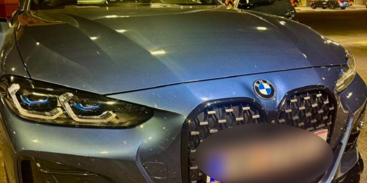 Suvozač priznao da je pištolj njegov