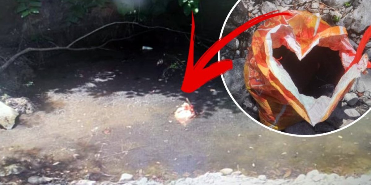 Svirepo mučio, ubijao i davio štence, pa sve kačio na mreže: Uhapšen monstrum iz Mionice (FOTO)