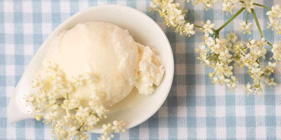Domaći sladoled od zove po čuvenom bakinom receptu: Letnja poslastica sa zdravom biljkom na kojoj su odrasle generacije