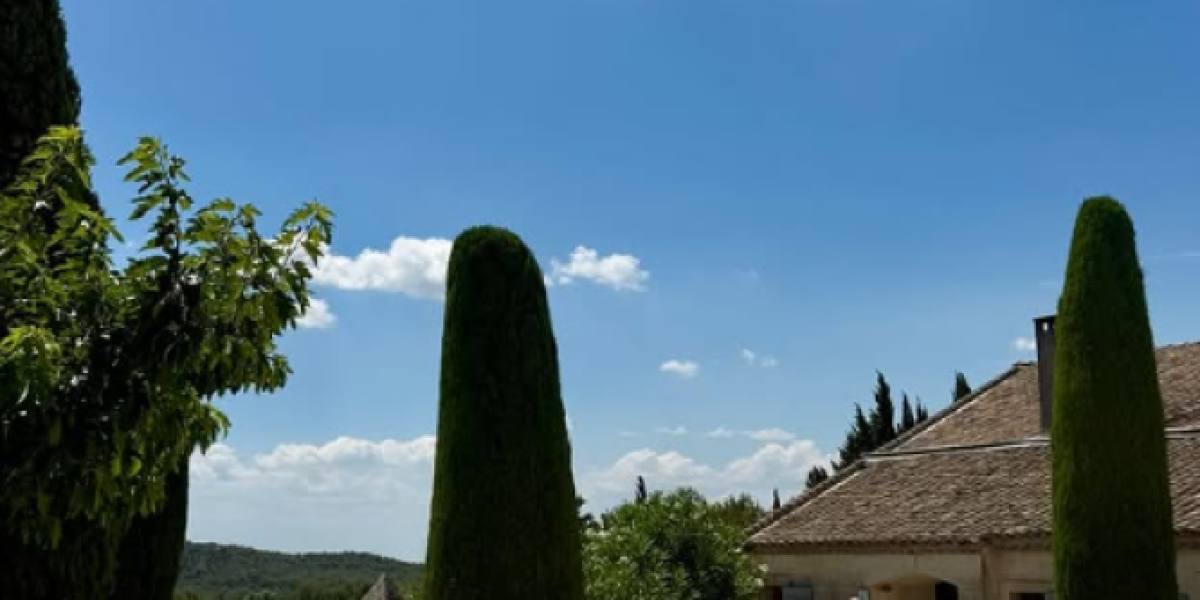 Sanja Marinković u Provansi