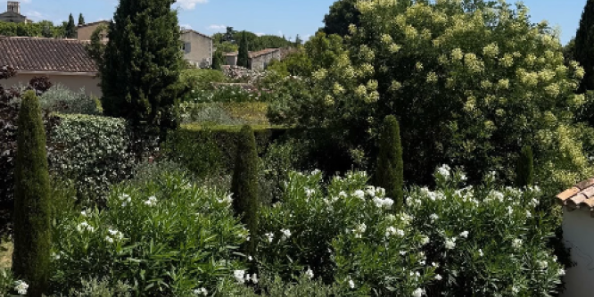 Sanja Marinković u Provansi