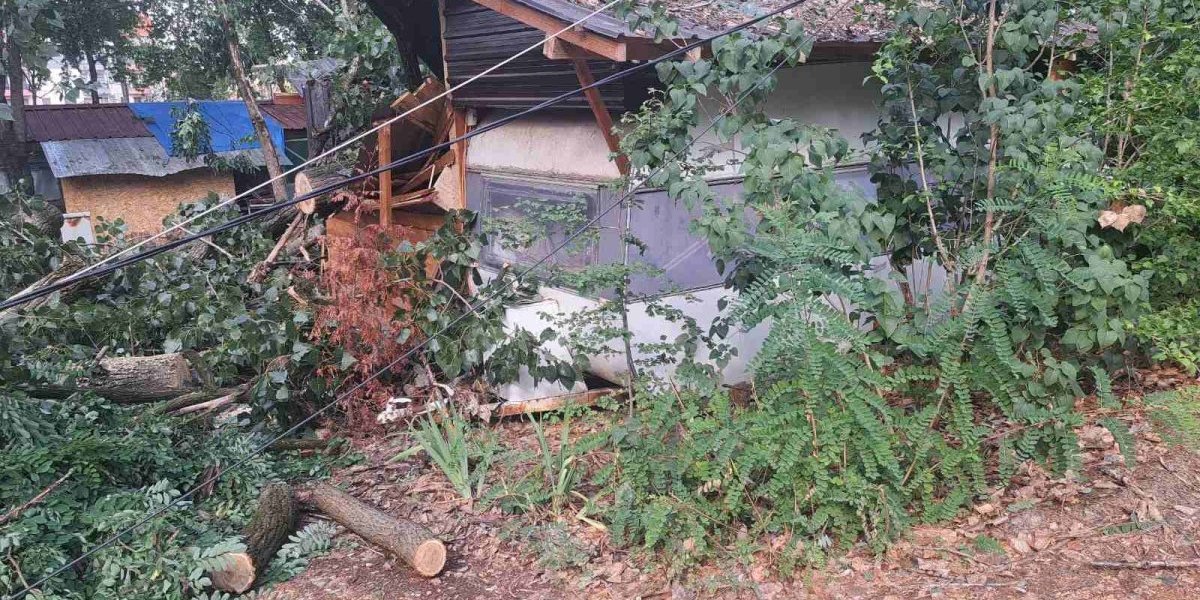 Kamp na Srebrnom jezeru 