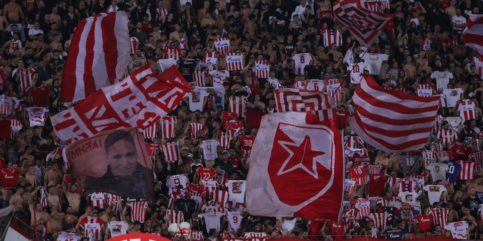 Oglasio se MUP zbog tuče "delija" i policije: Povređeno je više policajaca