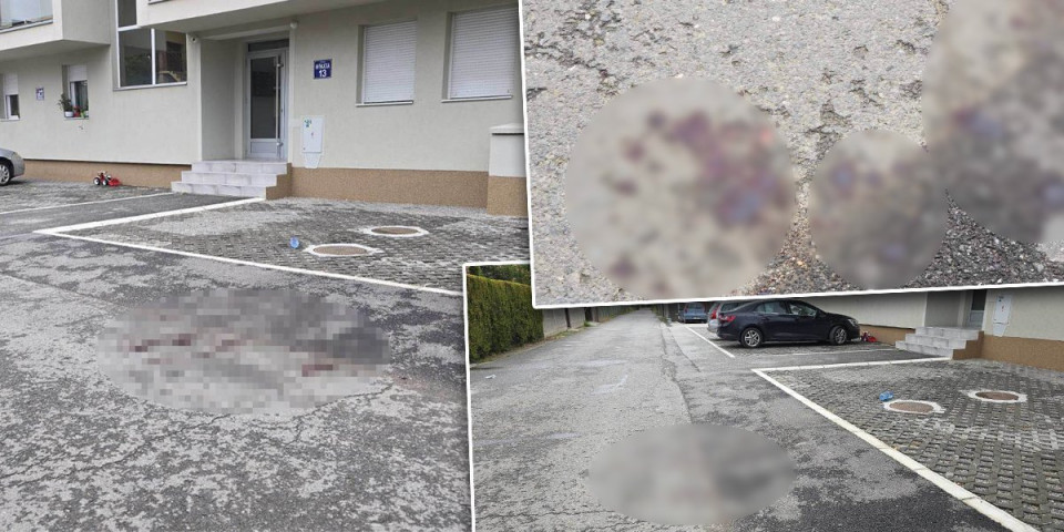 Delovi mozga rasuti po putu: Pucač sa Ledina izrešetao Miloša (UZNEMIRUJUĆE)