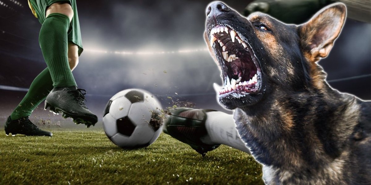 Horor - Pas izujedao testise bivšeg fudbalera Barselone: Igrač u ozbiljnom zdravstvenom stanju