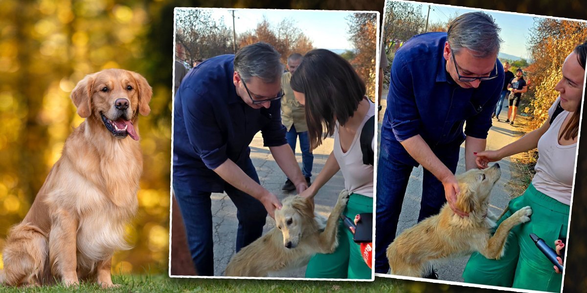Predsednik Vučić oduševio objavom iz Žitorađe: "Diplomatija na četiri šape" u akciji (FOTO)